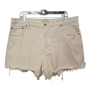 Abercrombie & Fitch Curve Love The Dad Short High Rise Women 18 White Distressed